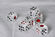 Orientation Dice Cheating Device / Magic Trick Casino Craps Dice